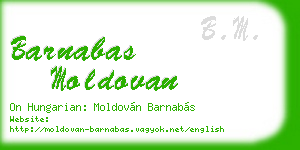barnabas moldovan business card