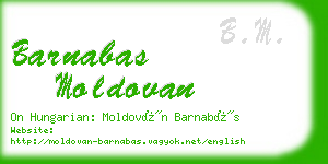 barnabas moldovan business card